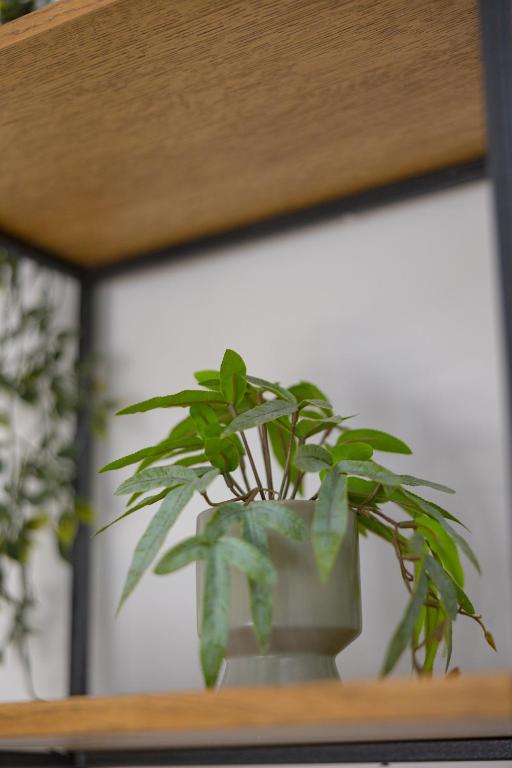 MELIGEO Suites Center of IOANNINA - 16