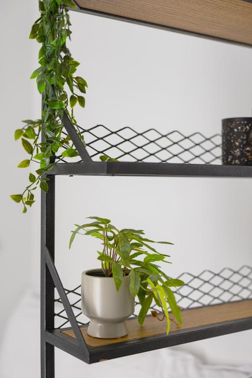 MELIGEO Suites Center of IOANNINA - Resim 27