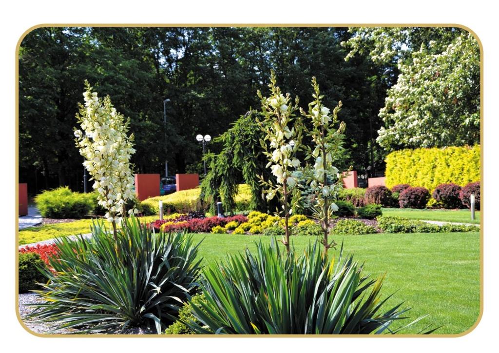 Agat Hotel - Resim 39