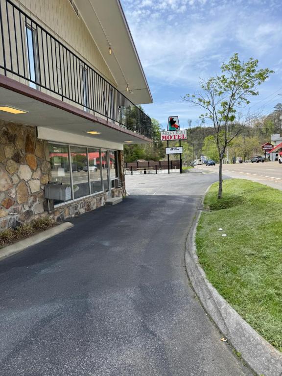 Billede fra billedgalleriet på Sleepy Bear Motel i Gatlinburg