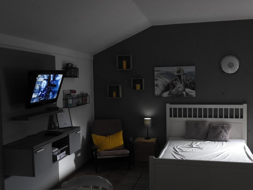 Televízia a/alebo spoločenská miestnosť v ubytovaní Apartman Lastovicka