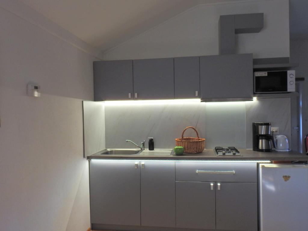 Kuchyňa alebo kuchynka v ubytovaní Apartman Lastovicka