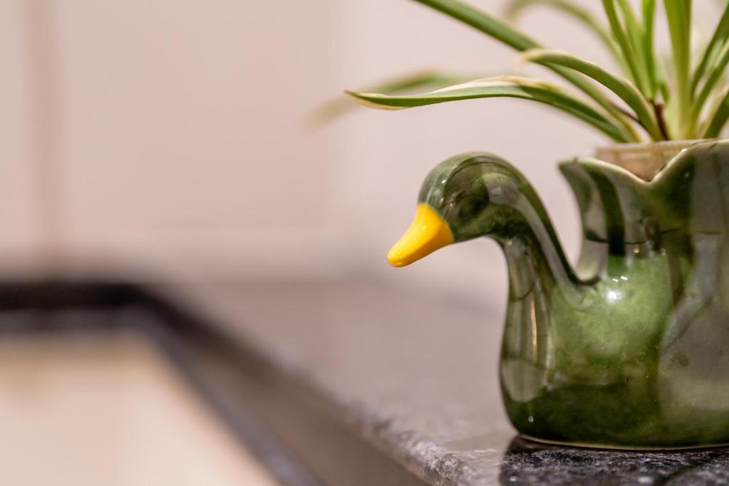 a green rubber duck vase with a plant in it at Dera Jaipur Homestay in Jaipur