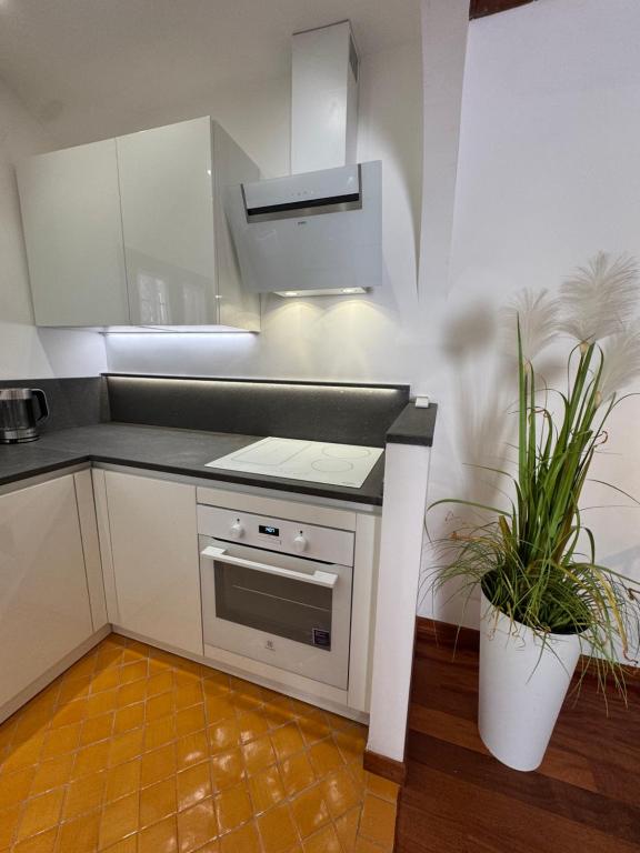 Cucina o angolo cottura di Domus Colosseum, detached house just few steps from the Colosseum