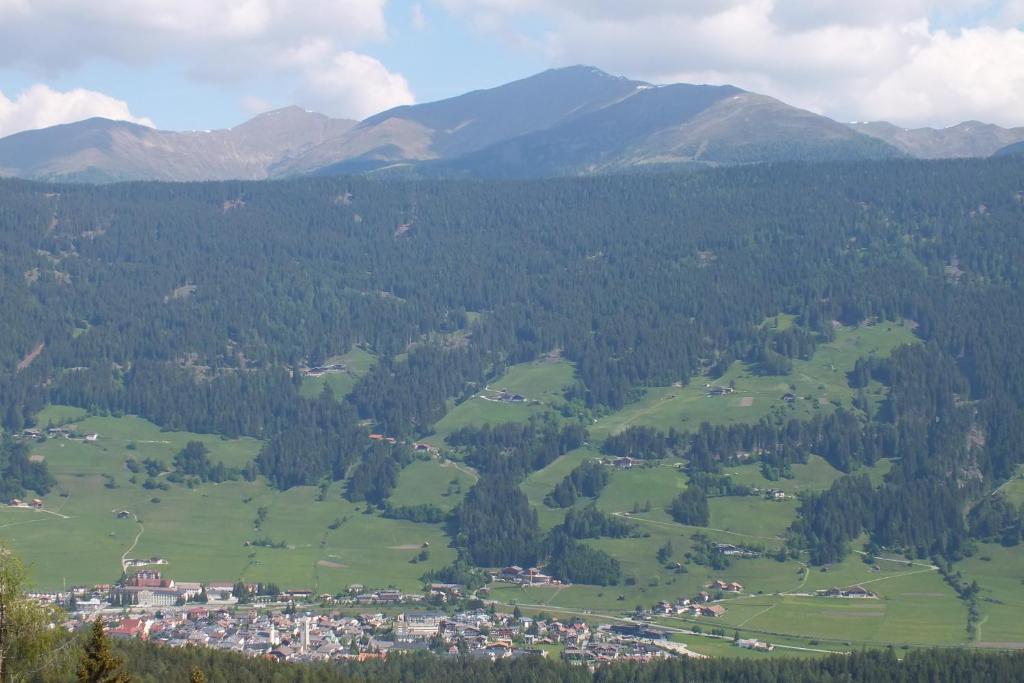 Príroda v okolí horskej chaty