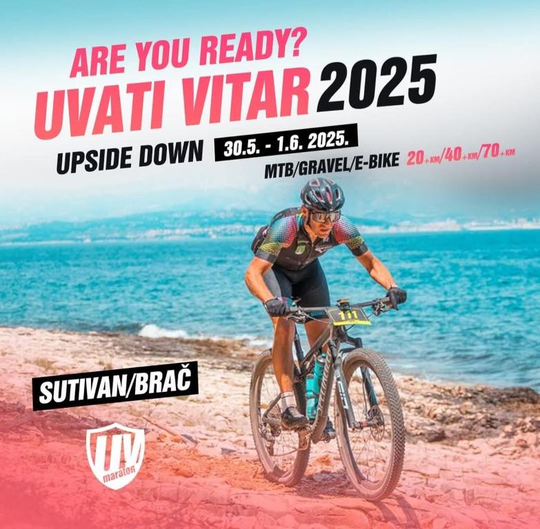 Hosté ubytování Villa Allure