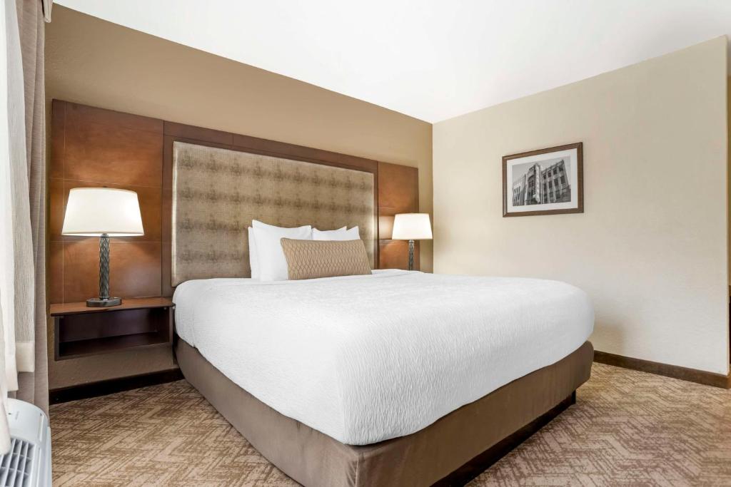 Best Western Gardendale - King Room - No Fumadores
