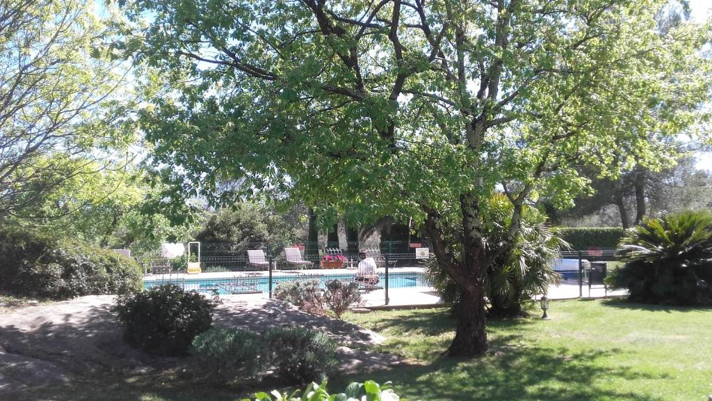 a swimming pool in a yard with a tree at La Résidence du Moulin in Tourrettes-sur-Loup