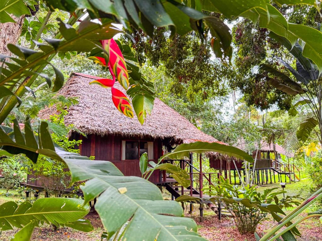 Zahrada ubytování Corto Maltes Amazonia Lodge