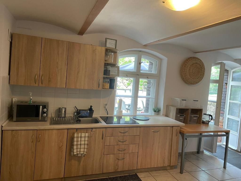 Kuchyň nebo kuchyňský kout v ubytování Villa Brzozowy Gaj