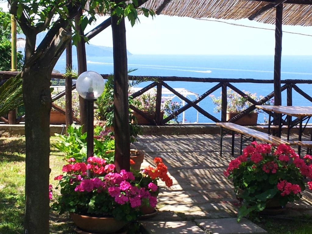 a patio with flowers and a view of the ocean at Tessa's Holiday in Massa Lubrense