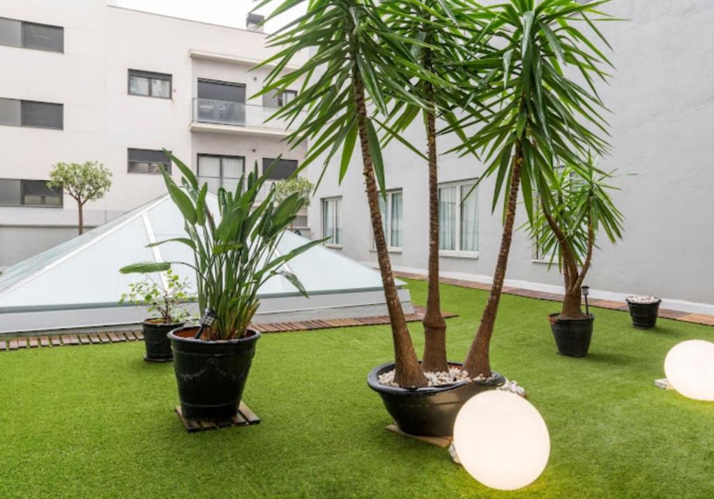 A garden outside Ilunion Bel-Art