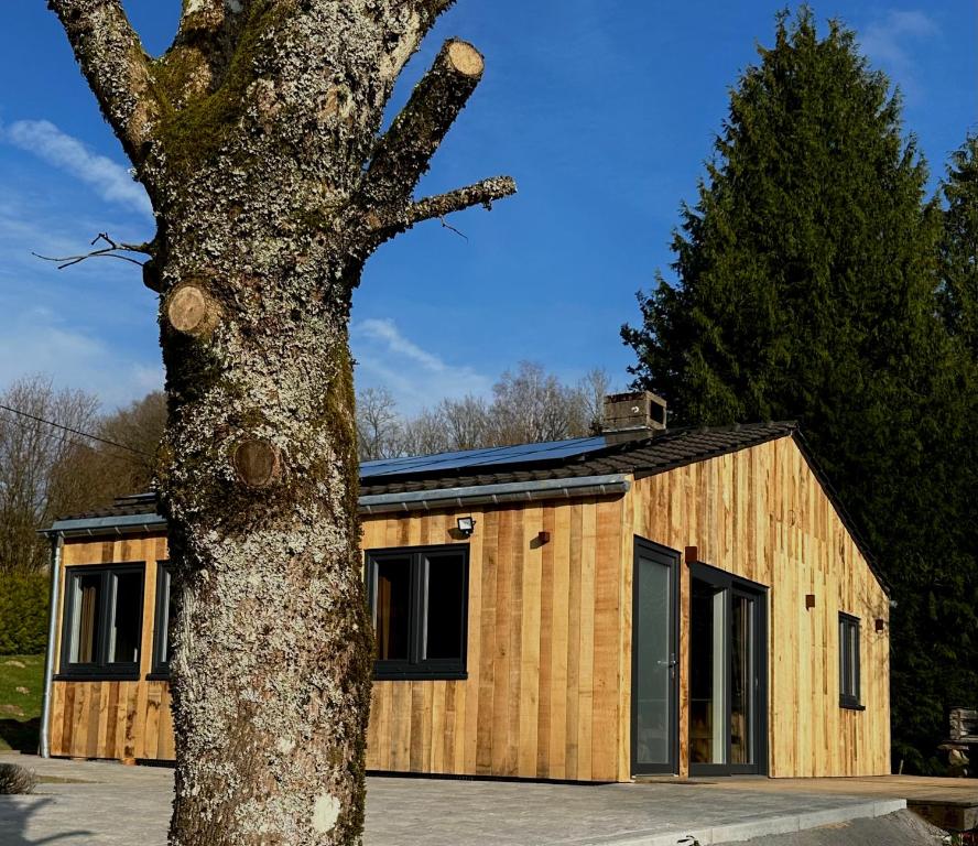 a wooden cabin with a tree in front of it at Chalet le Faye in Waimes