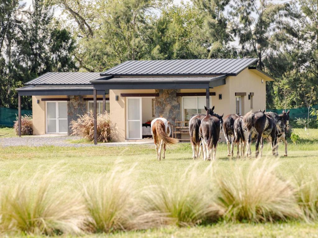 eine Gruppe von Pferden, die vor einem Haus stehen in der Unterkunft La Joaquina in Rosario de Lerma