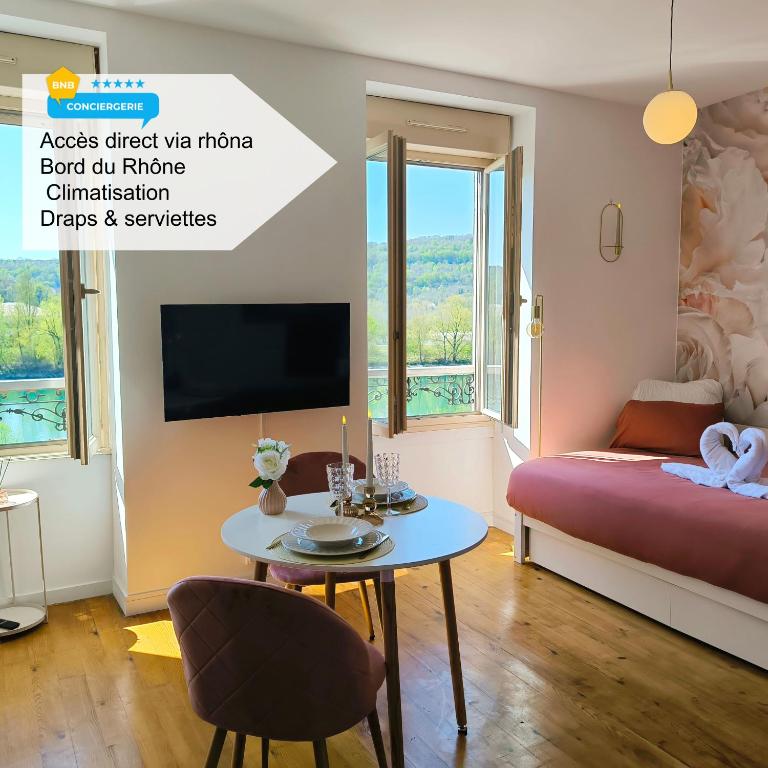 TV a/nebo společenská místnost v ubytování Studio l'éclat vue sur rhône , accès directe à la via rhona, clim