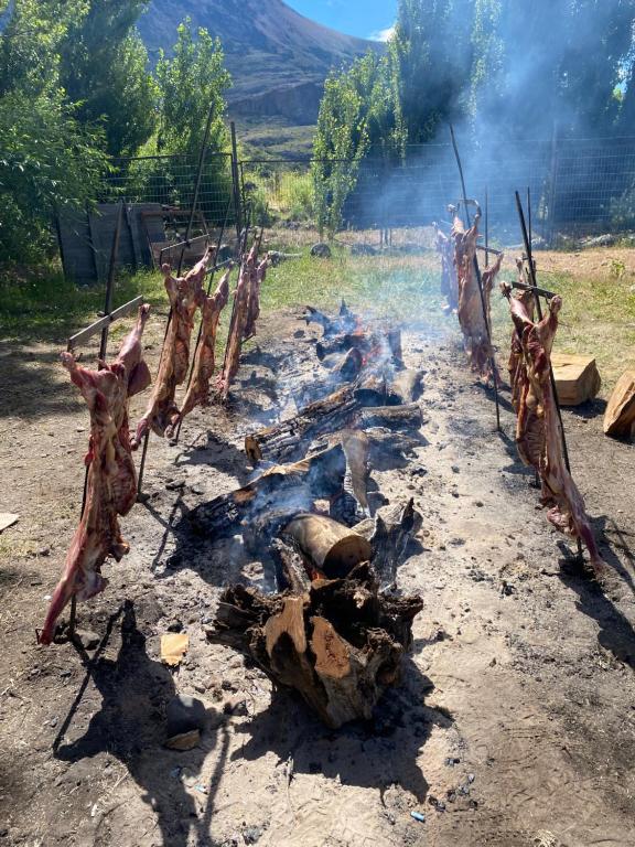Patagonia Bordelago Lodge