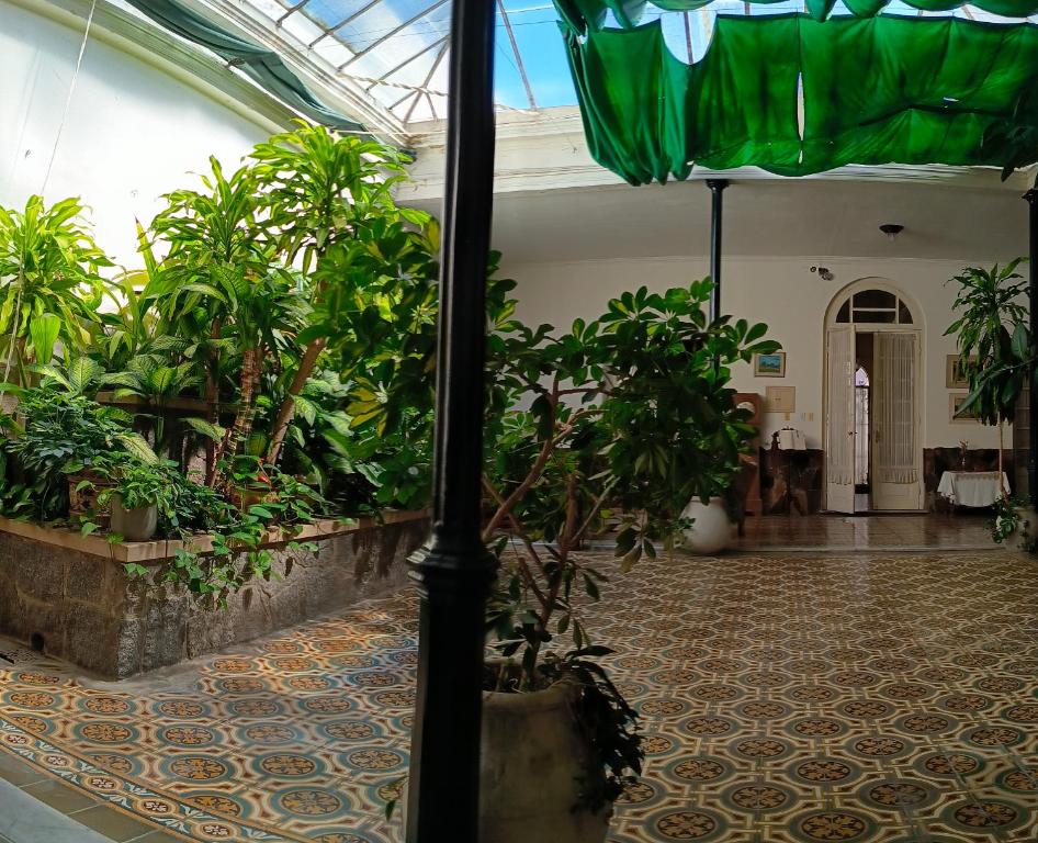 Zahrada ubytování Casa grande 1