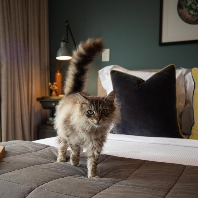 Romantic Retreat, Hot Tub, Glasshouse, Ensuite - Resim 43