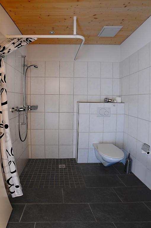 a bathroom with a shower and a toilet at Bed and Breakfast Wegmann in Andelfingen