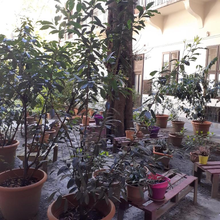 Amber Gardenview Studios Downtown - Resim 30