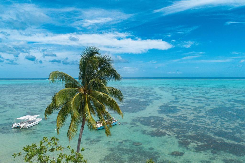 Villa Anahere - photo 2 - Moorea, Polynésie