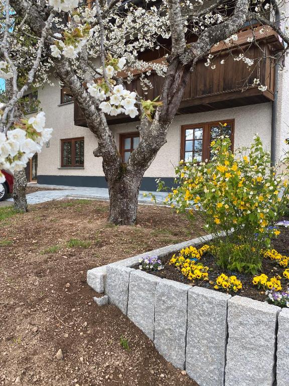 Zahrada ubytování Schwarzwaldnest Dachsberg
