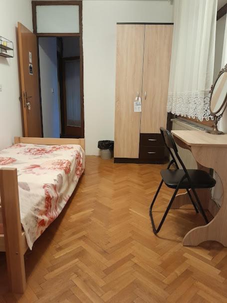 Postel nebo postele na pokoji v ubytování Pjer sobe Niska Banja
