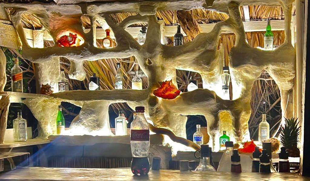 Fotografie z fotogalerie ubytování El Arca v destinaci Tintipan Island