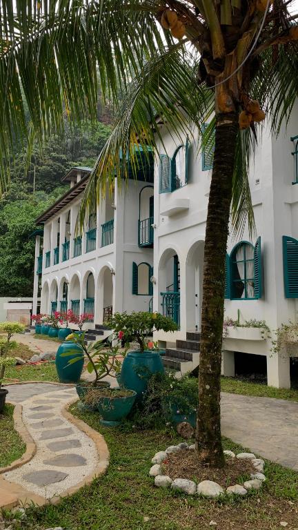 a palm tree in front of a building at JungleRiverHouse & JungleRiverResort in Bukit Lawang