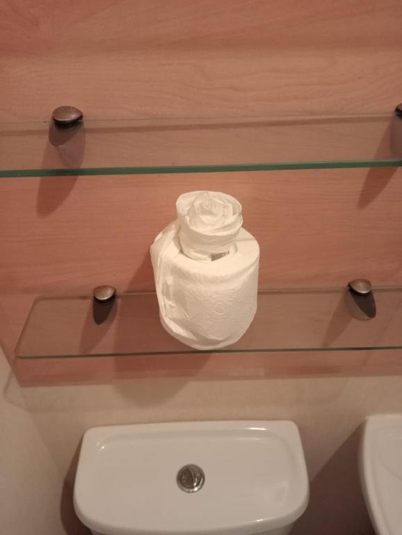 a glass shelf above a toilet in a bathroom at Seaside chalet in Ardmore with breathtaking views in Ardmore