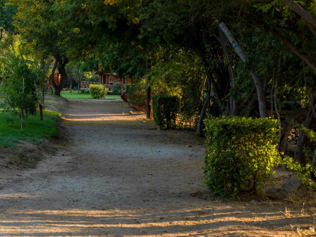 Zahrada ubytování Olmue Natura Lodge & Spa