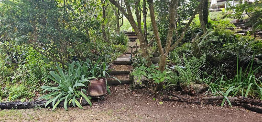 Fred&Donz Bed and Breakfast - Resim 13