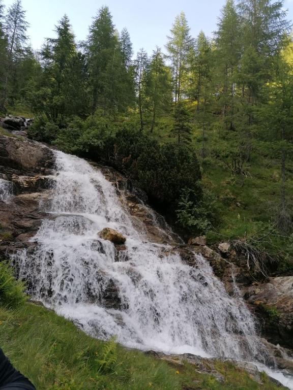 Príroda v okolí apartmánu