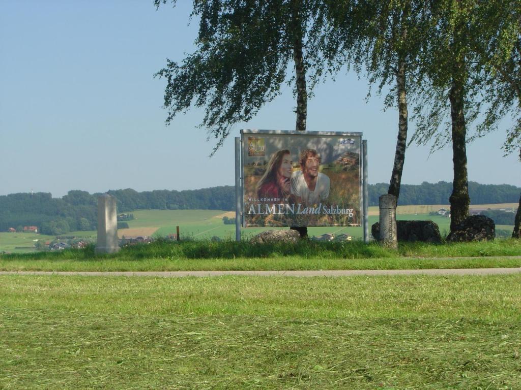 Příroda nedaleko penzionu