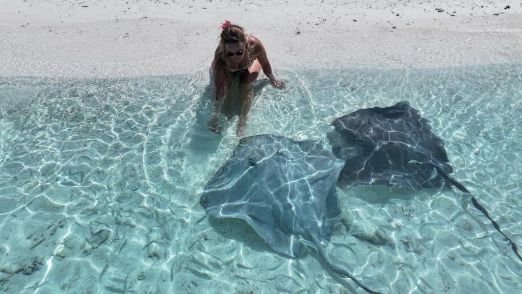 a woman standing in the water next to a stingray at Uhoo's Lavish Oasis in Felidhoo