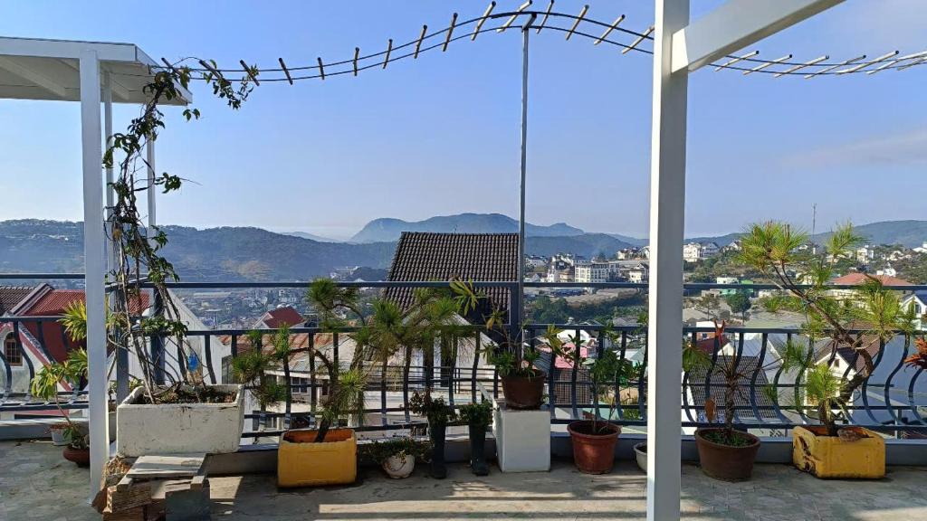Příroda nedaleko aparthotelu