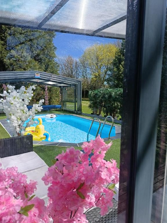 - une vue sur la piscine ornée de fleurs roses dans l'établissement La Roulotte du Parc, à Saint-Priest-des-Champs