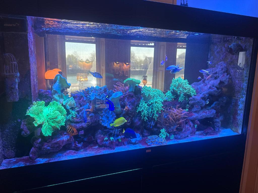 Hotel Le Beau Rivage - Resim 7