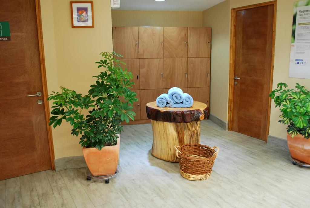 Fotografie z fotogalerie ubytování Olmue Natura Lodge & Spa v destinaci Olmué