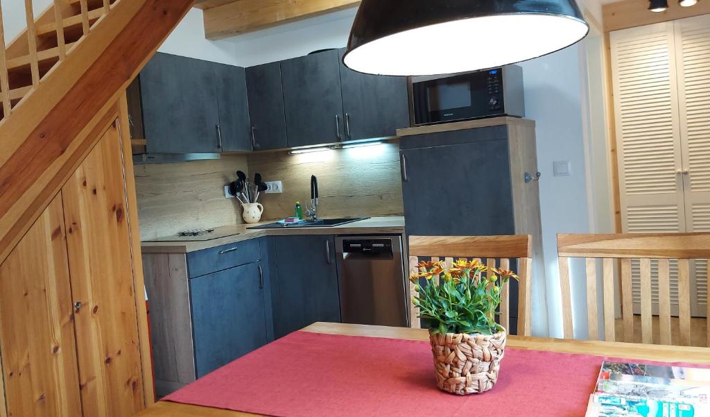 Kuchyň nebo kuchyňský kout v ubytování Ferienhaus Richtermühle