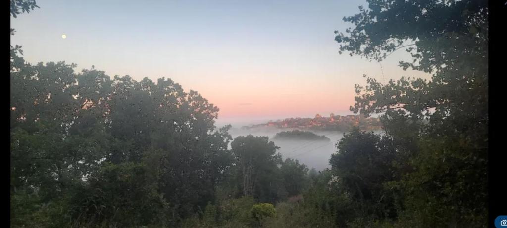 una nebbia vista di un fiume con alberi e una città di Cottage Bellevue a Domme