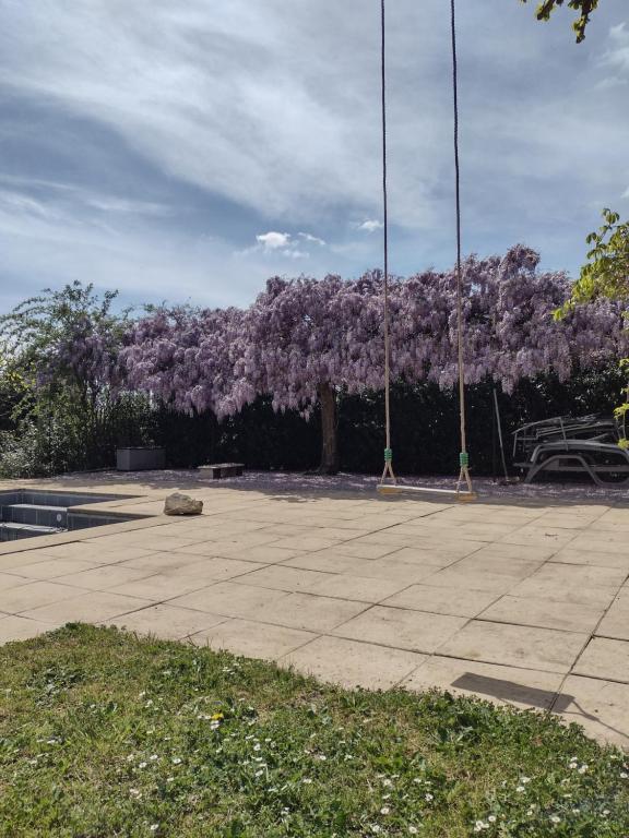 Zahrada ubytování Gîte cocooning avec piscine