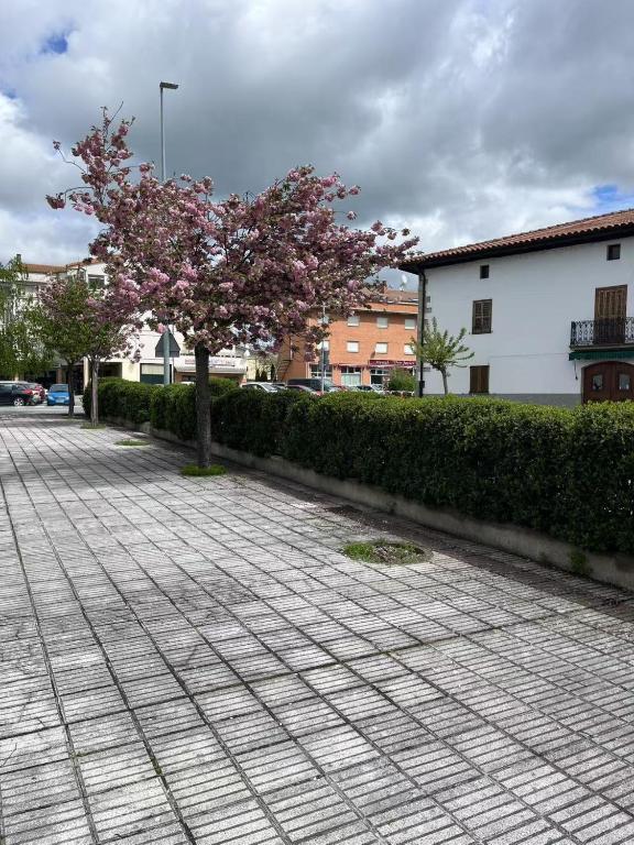 Okolí penzionu