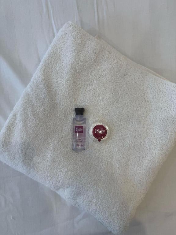 Saba Hotel London - Resim 17