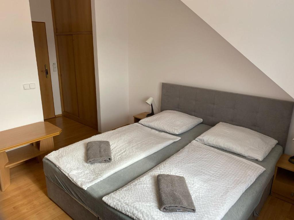 Penzion U Jandů - Tweepersoons- Of Tweelingkamer Met Extra Bed