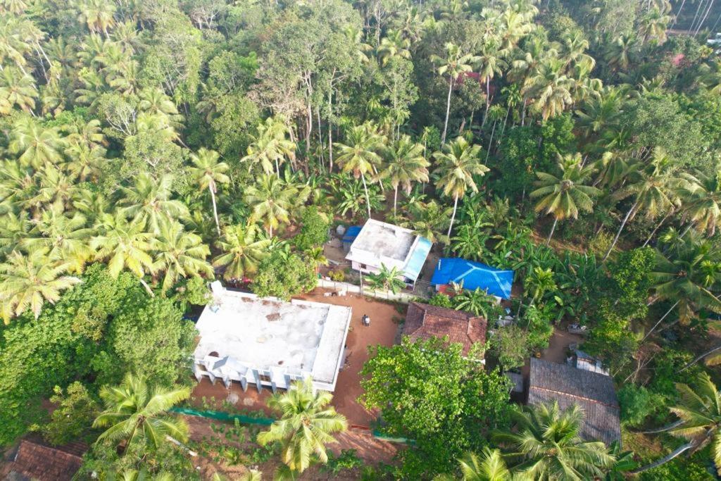 Zahrada ubytování Munroe Coconut Homestay
