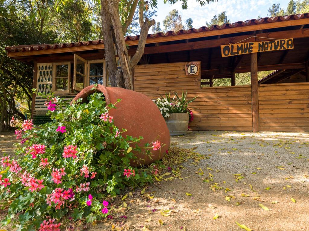 Zahrada ubytování Olmue Natura Lodge & Spa