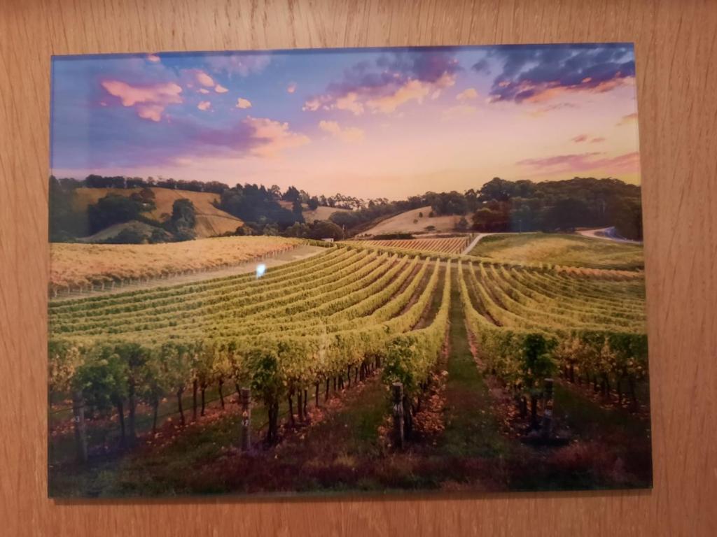 Fotografie z fotogalerie ubytování Gästehaus Moni Jäger v destinaci Weyher