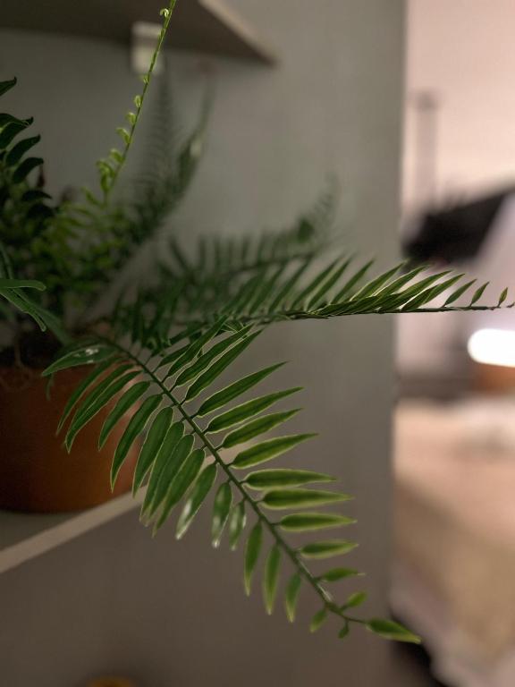 Fotografie z fotogalerie ubytování Flat no Coração do Cabo Branco v destinaci João Pessoa
