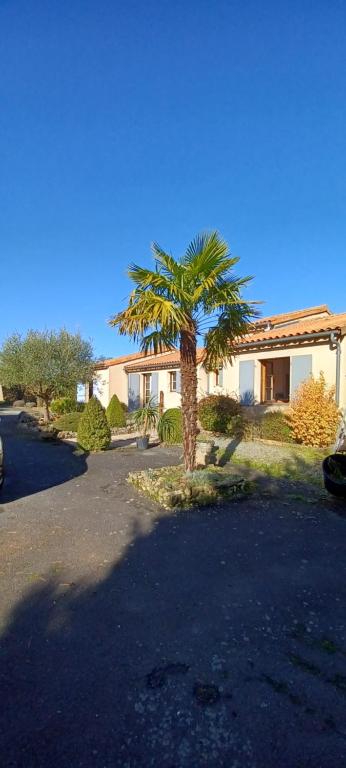 una palma di fronte a una casa di Les lavandières a La Pommeraie-sur-Sèvre
